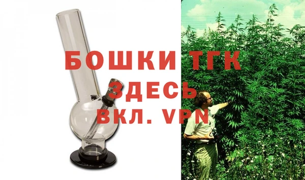молекула духа Бронницы