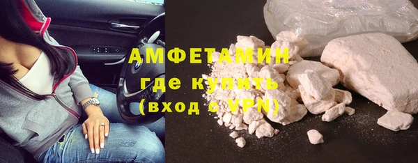 молекула духа Бронницы